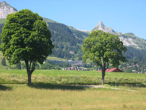 Photograph